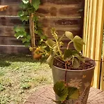 Prázdninový dům Le Tiny De Laly - Climatisation -wifi - Jardin - Airport Navette *