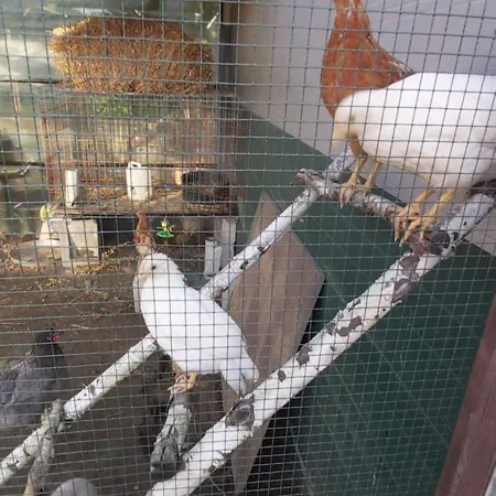 Ferienhaus Le Tiny De Laly - Climatisation -wifi - Jardin - Airport Navette