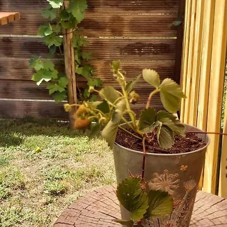 Casa vacanze Le Tiny De Laly - Climatisation -wifi - Jardin - Airport Navette *