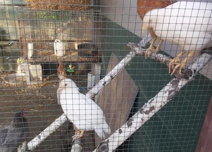 Дом отдыха Le Tiny De Laly - Climatisation -wifi - Jardin - Airport Navette